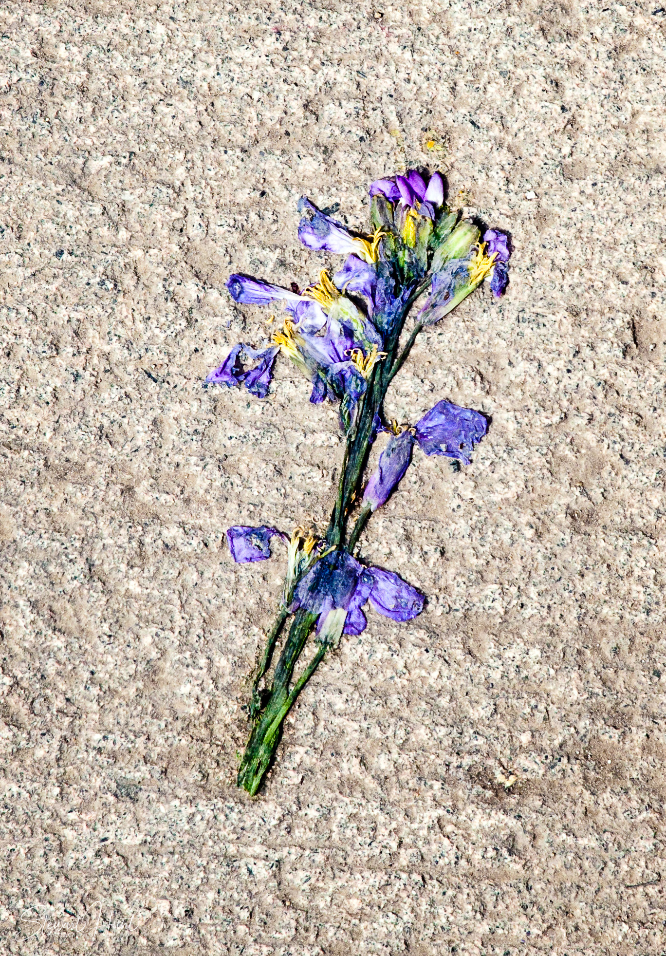 China Apr 2007 D2  MG 0041